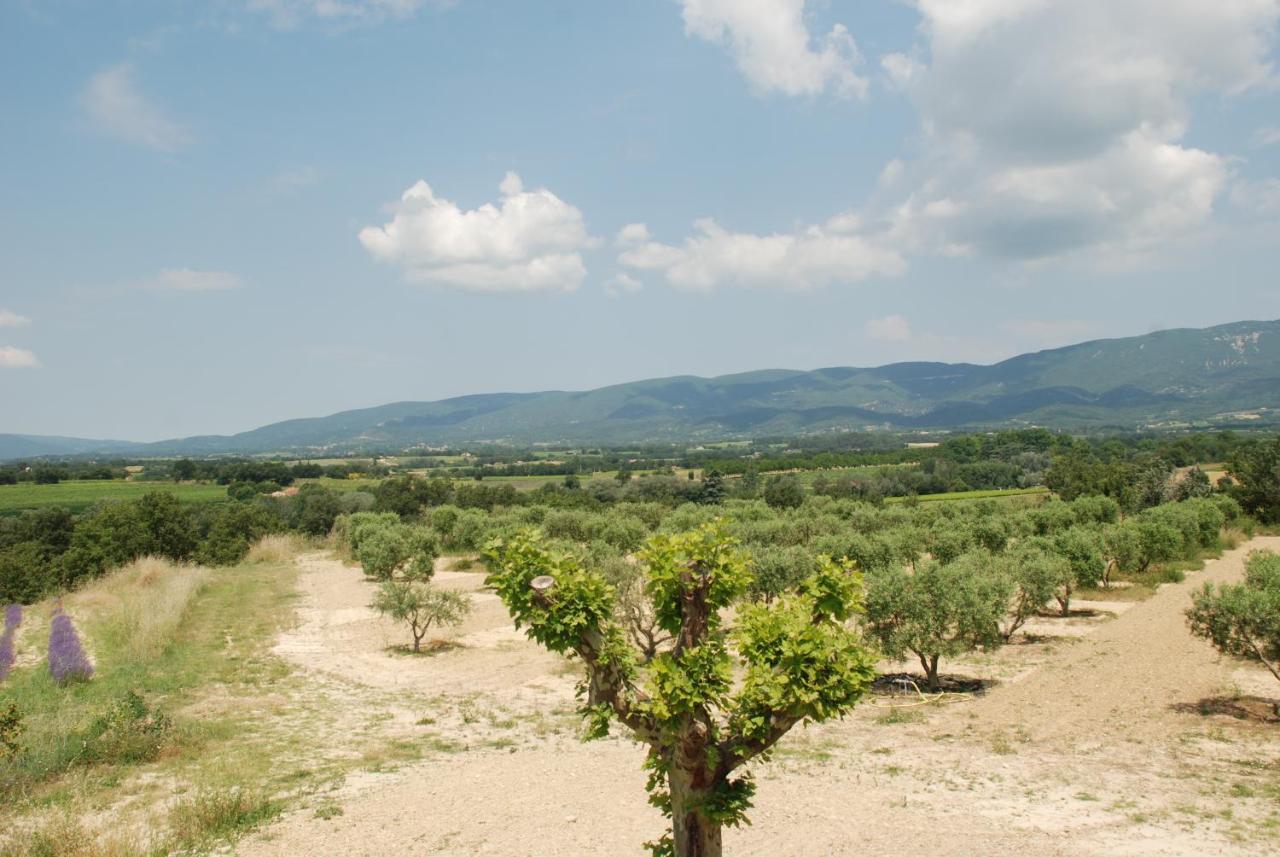 Bed and Breakfast Bastide Saint Maurin Ansouis Экстерьер фото